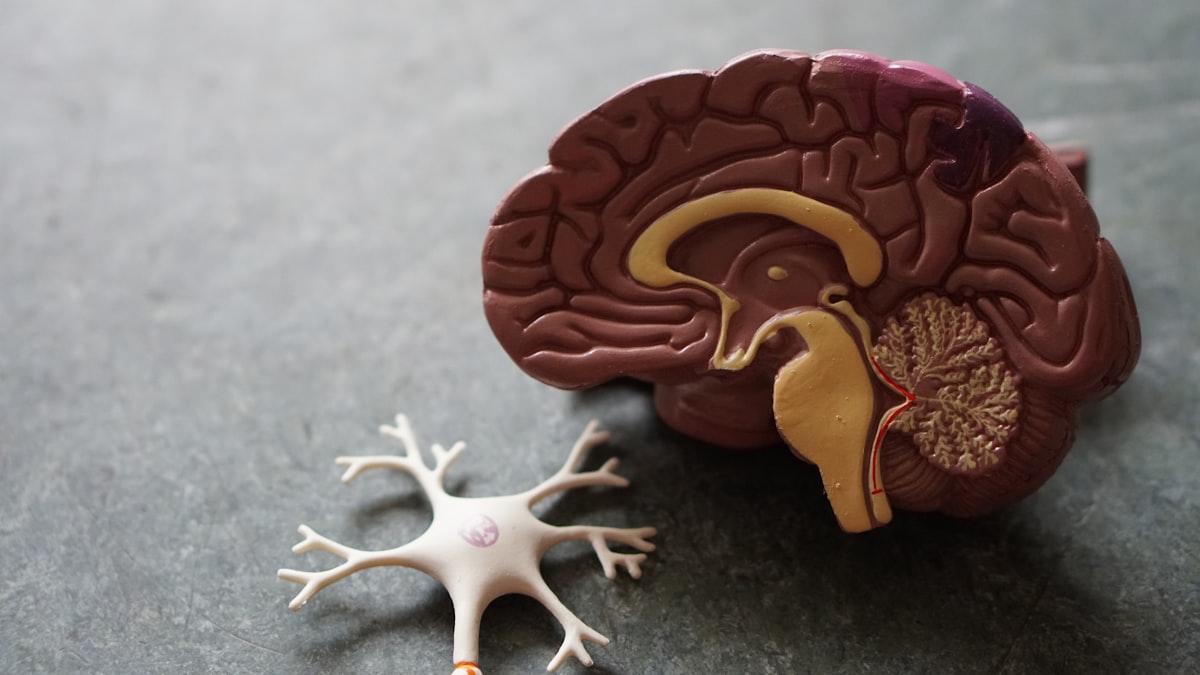 Neurology care